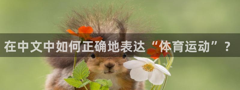 A8体育旧版本下载