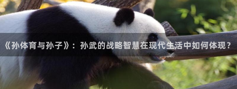 a8体育直：《孙体育与孙子》：孙武的战略智慧在现代生活中如何体现？