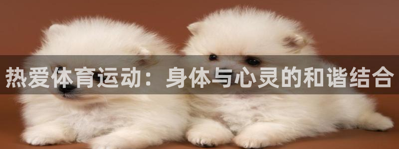 a8体育app苹果版