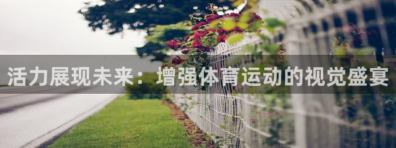 A8体育app官方下载入口：活力展现未来：增强体育运动的视觉盛宴