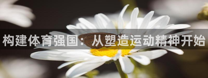 A8体育免费直播：构建体育强国：从塑造运动精神开始